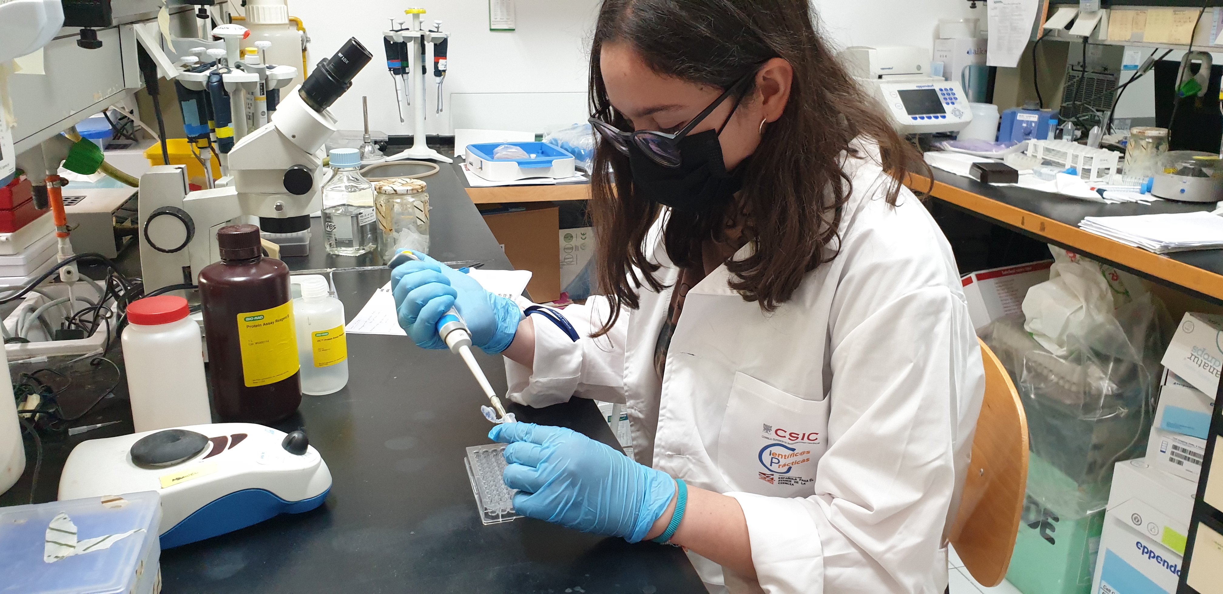 El CSIC y la AEAC ponen en marcha el programa 'Científic@s en prácticas' para promover el talento científico entre el alumnado