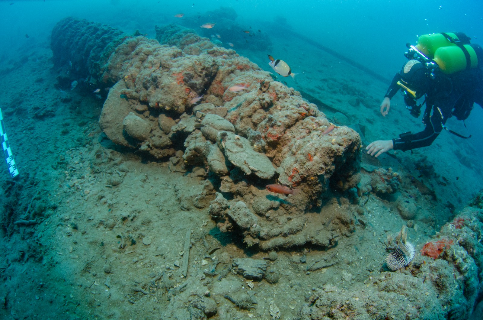 Los yacimientos Ribadeo I (Galicia) y Mortella III (Córcega) abren nuevas líneas de investigación sobre la Arquitectura naval del siglo XVI Los yacimientos Ribadeo I (Galicia) y Mortella III (Córcega) abren nuevas líneas de investigación sobre la Arquitectura naval del siglo XVI