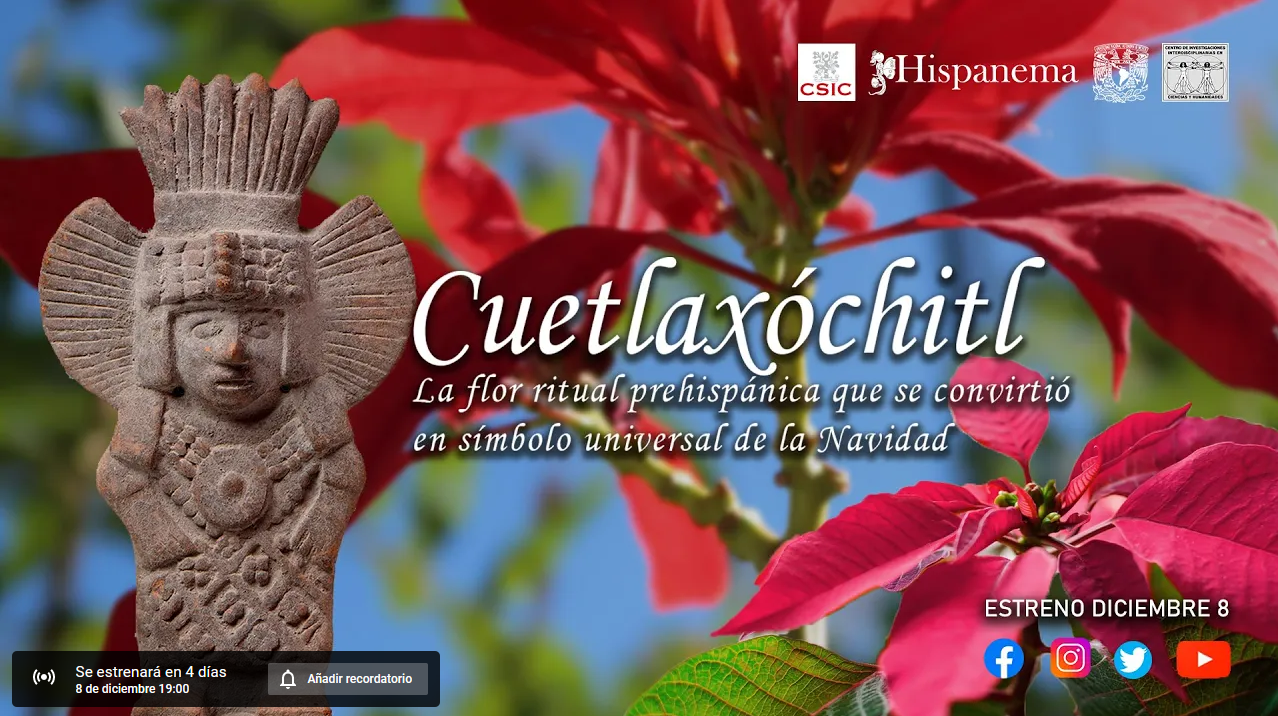 Estreno del documental "Cuetlaxóchitl. La flor ritual prehispánica que se convirtió en símbolo universal de la Navidad"