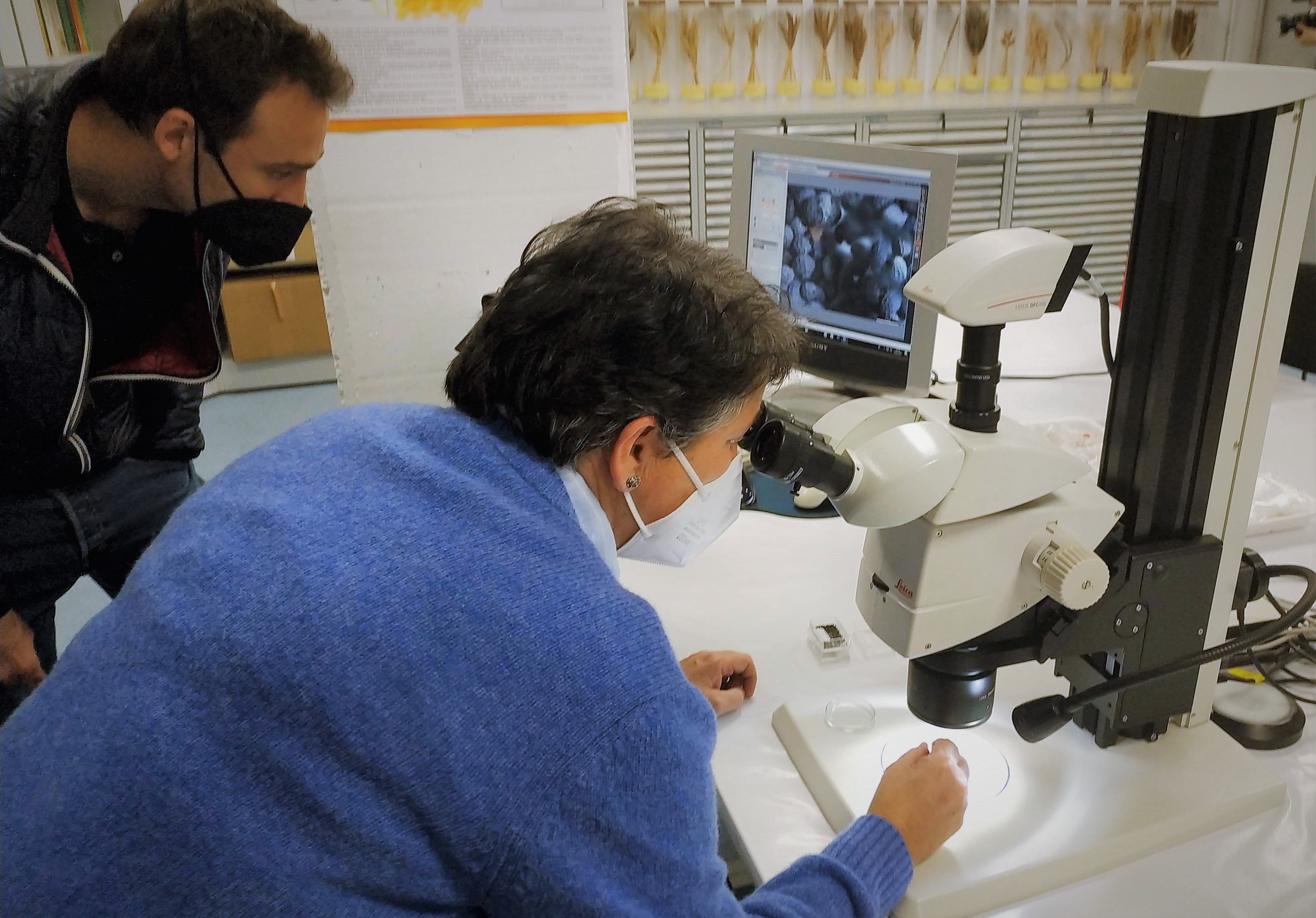 El laboratorio de arqueobiología recibirá alumnos de 3º de la ESO durante una semana, en el programa 'Científic@s en prácticas'