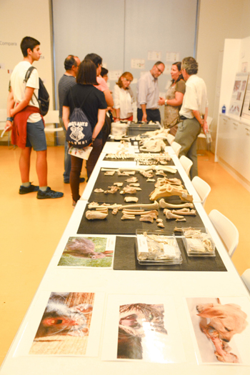Un viaje de dos mil años por la producción, el consumo y el disfrute de la alimentación, en el Museo Arqueológico Nacional Un viaje de dos mil años por la producción, el consumo y el disfrute de la alimentación, en el Museo Arqueológico Nacional