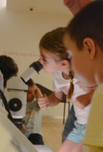 Los asistentes al taller miraban semillas a través del microscopio noche_investigadores2017_ie.jpg
