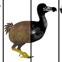 Arte y ciencia se alían para conocer especies extintas en la Noche de los investigadores 2023