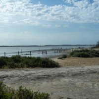 Desembocadura del río Guadalquivir en Doñana. Foto iStock