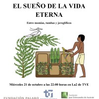 Estreno del documental 'El sueño de la vida eterna: Entre tumbas, momias y jeroglíficos' Estreno del documental 'El sueño de la vida eterna: Entre tumbas, momias y jeroglíficos'