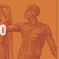 Nueva exposición en la Biblioteca Nacional de España: Celebración del 500º aniversario de Juan Valverde de Amusco