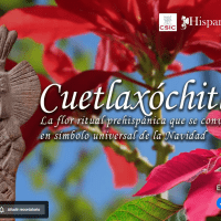 Estreno del documental "Cuetlaxóchitl. La flor ritual prehispánica que se convirtió en símbolo universal de la Navidad" Estreno del documental "Cuetlaxóchitl. La flor ritual prehispánica que se convirtió en símbolo universal de la Navidad"