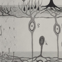 Estreno de "Tesoros y Fantasmas de la Ciencia española", serie documental realizada por los hermanos Paco y Juan Pimentel (IH), cineasta e historiador respectivamente Estreno de "Tesoros y Fantasmas de la Ciencia española", serie documental realizada por los hermanos Paco y Juan Pimentel (IH), cineasta e historiador respectivamente