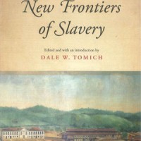 Inés Roldán (IH) coautora del libro "New Frontiers of Slavery" Portada del libro