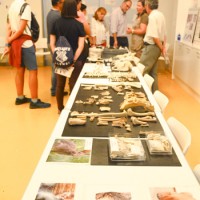 Un viaje de dos mil años por la producción, el consumo y el disfrute de la alimentación, en el Museo Arqueológico Nacional Un viaje de dos mil años por la producción, el consumo y el disfrute de la alimentación, en el Museo Arqueológico Nacional