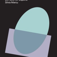 Silvia Marcu (IEGD publica el libro "Geografías de la movilidad humana en el siglo XXI: jóvenes de la Europa del Este en España" Portada del libro