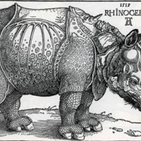 El Times Higher Education Supplement destaca 'The Rhinoceros and the Megatherium' de Juan Pimentel como libro de la semana Imagen del rinoceronte