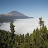 La principal amenaza de los Parques Nacionales, los incendios forestales La principal amenaza de los Parques Nacionales, los incendios forestales