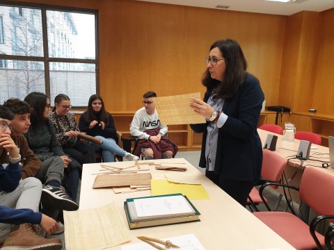 Mª Jesús Albarrán (ILC, CSIC) durante su charla con alumnos del IES Alonso Berruguete de Palencia Mª Jesús Albarrán (ILC, CSIC) durante su charla con alumnos del IES Alonso Berruguete de Palencia