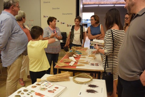 Taller de arqueobotánica impartido por Leonor Peña