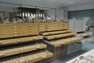 XXV Semana de la Ciencia 2025: "Visita a los Laboratorios de Arqueología de I+D del Centro de Ciencias Humanas y Sociales del CSIC"
