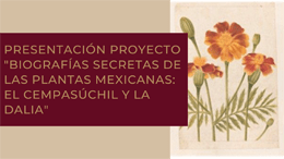 Cartel del evento Presentación del proyecto "Biografías secretas de las plantas mexicanas: el cempasúchil y la dalia"